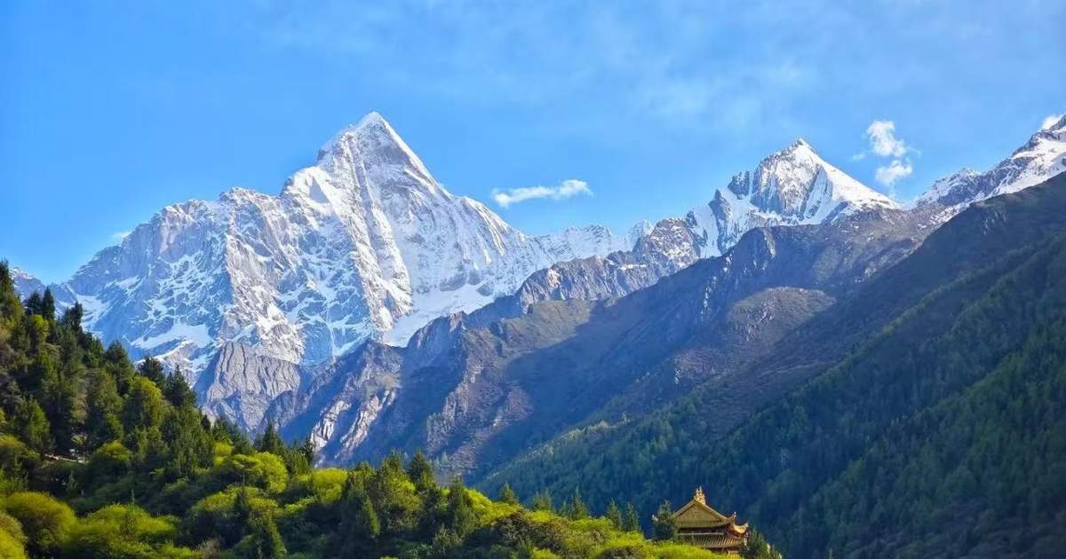 Ozingizning suniy mushukingizni qiling Ozingizning suniy mushukingizni qiling